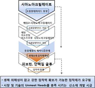 생체 접착제의 접착강도와 안전성 관계