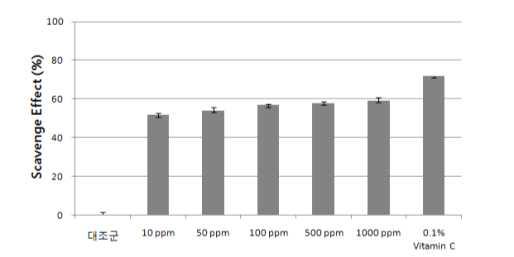 항산화능 시험결과 (DPPH 자유라디칼 소거능)