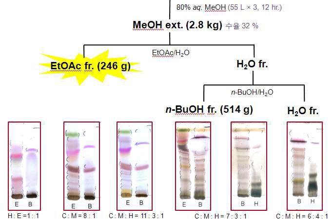 Strawberry calyx (8.5kg)의 분획물을 column chromatography하여 분획물 제조