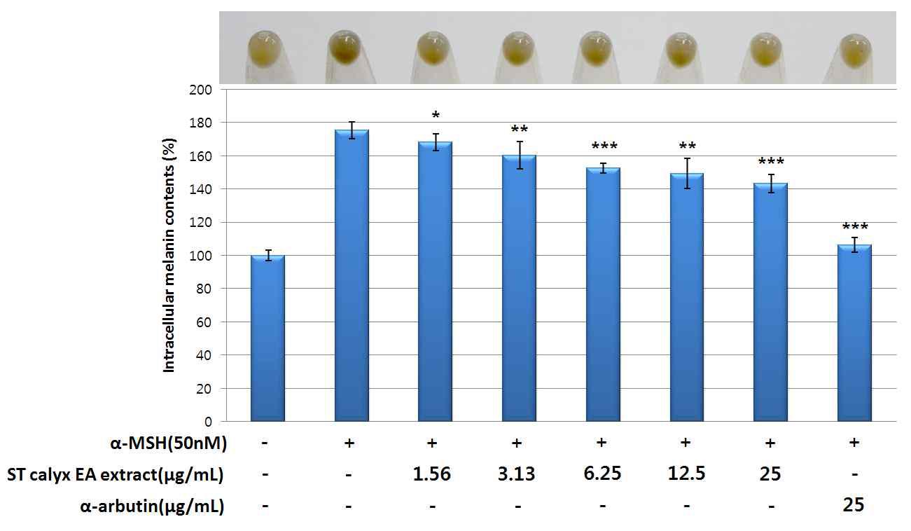 Strawberry calyx EA fraction의 세포 내 melanin content 억제