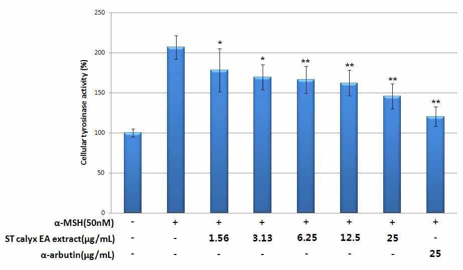 Strawberry calyx EA fraction의 세포 내 tyrosinase activity 억제