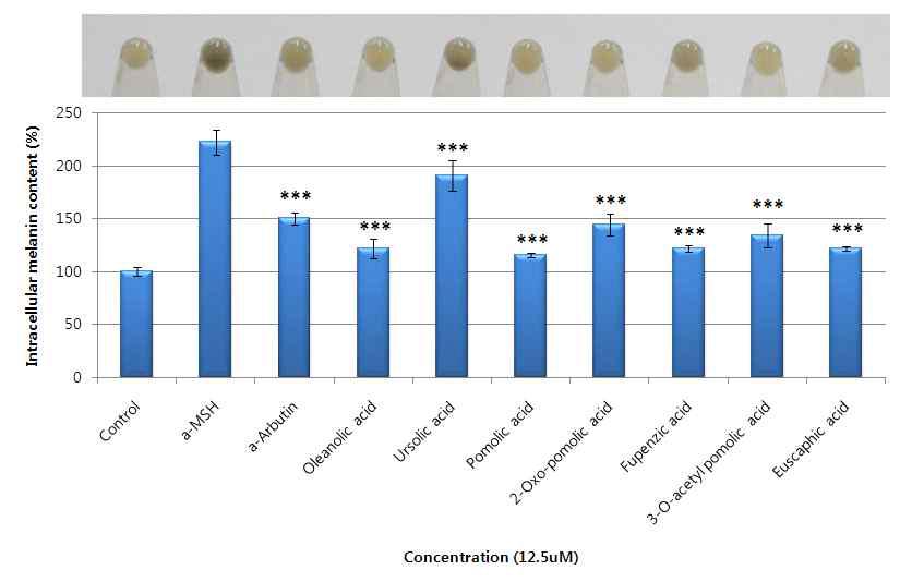 Strawberry calyx EA fraction에서 분리된 triterpenoid 7종의 세포 내 melanin content 억제