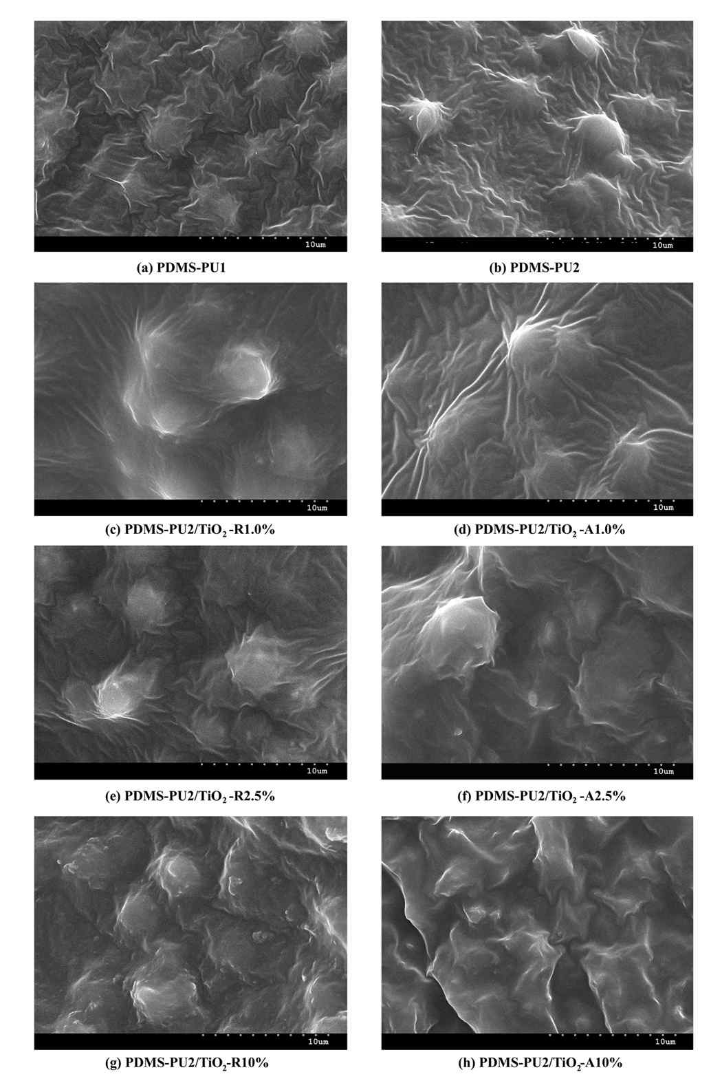 나노복합체 파단면 시편의 전자현미경사진