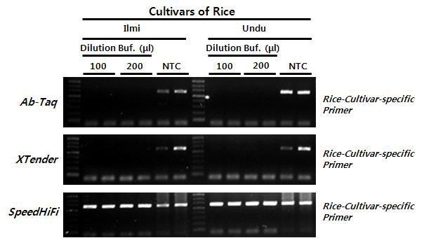 Direct PCR을 위한 최적 PCR 효소 선별. 2 가지의 쌀 품종 (일미, 운두) 와 2쌀 품종 검정에 사용되는 프라이머를 이용하여 테스트.
