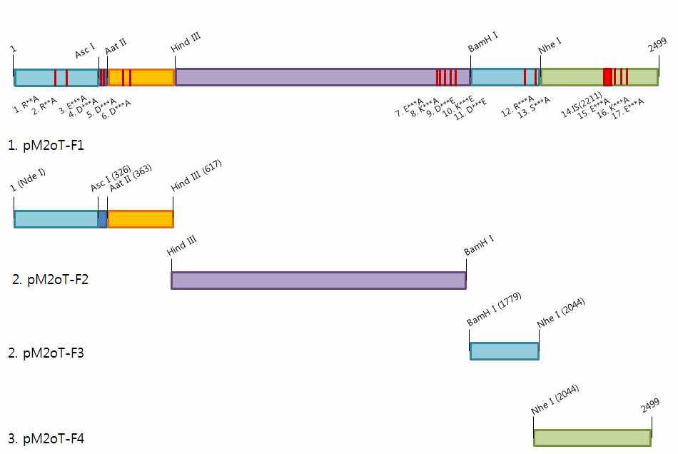 Mutagenesis strategy of Taq polymerase