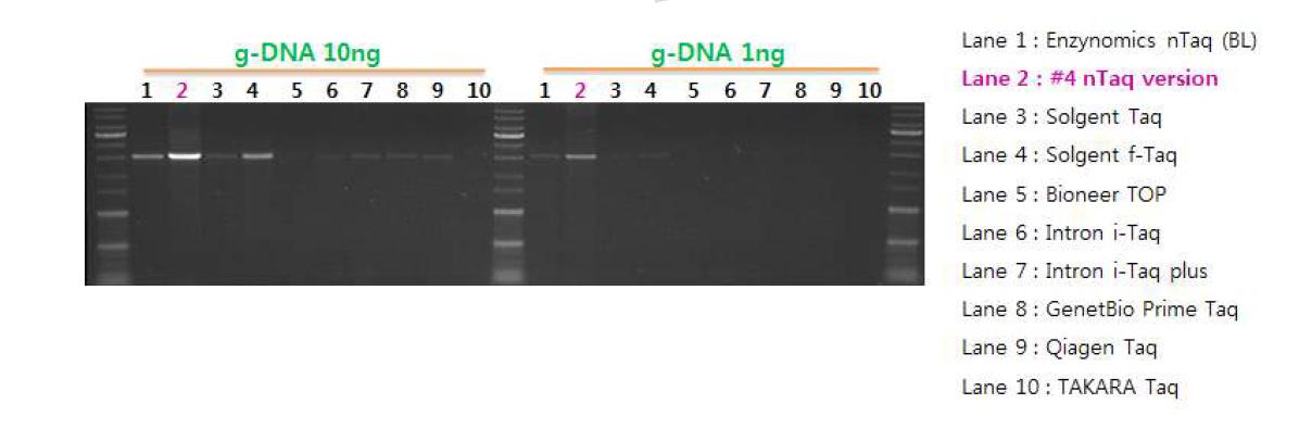 타사 제품과 비교한 일반적인 PCR 결과.