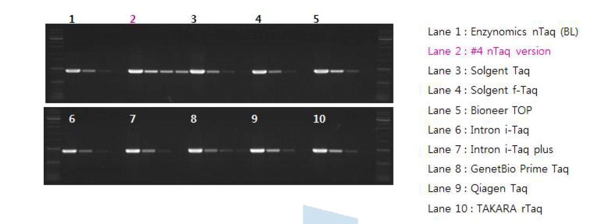 타사 제품과 비교한 #4 Taq 의 sensitivity test 결과.