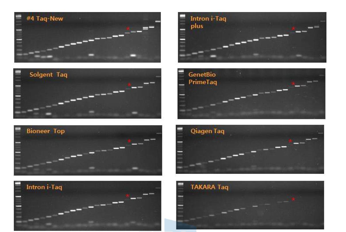 PCR product 길이 별 타사 제품과의 비교 결과.