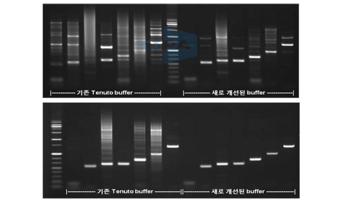 2 kb 이하 Target 을 대상으로 기존 Tenuto buffer 와 개선된 buffer를 적용하여 테스트한 결과.