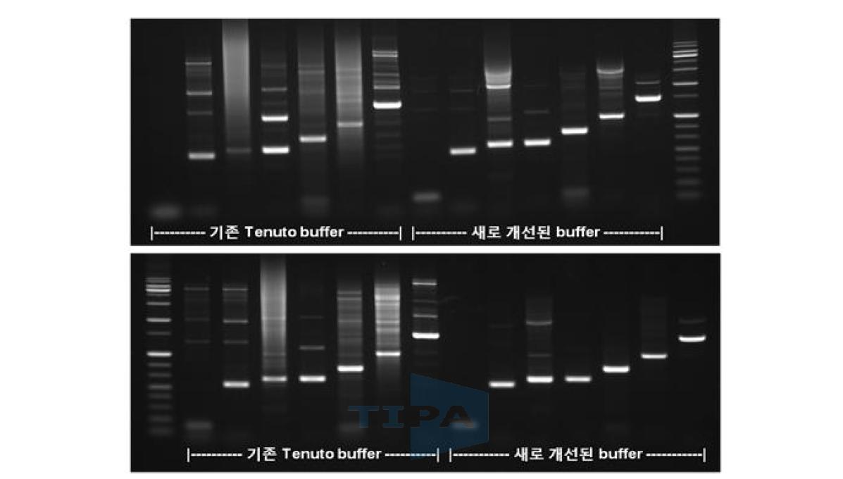 2kb이하 Target을 대상으로 기존 Tenuto buffer와 개선된 buffer를 적용하여 테스트한 결과.