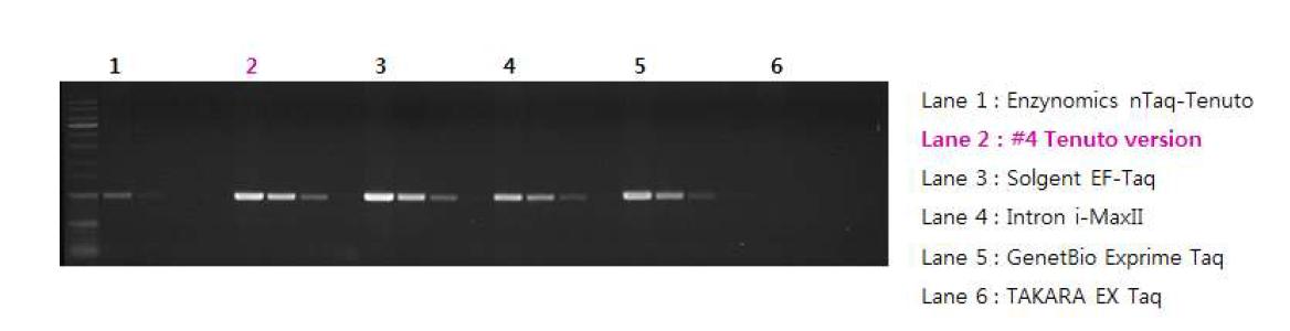 nTaq-Tenuto version에 대한 inhibitor assay 결과