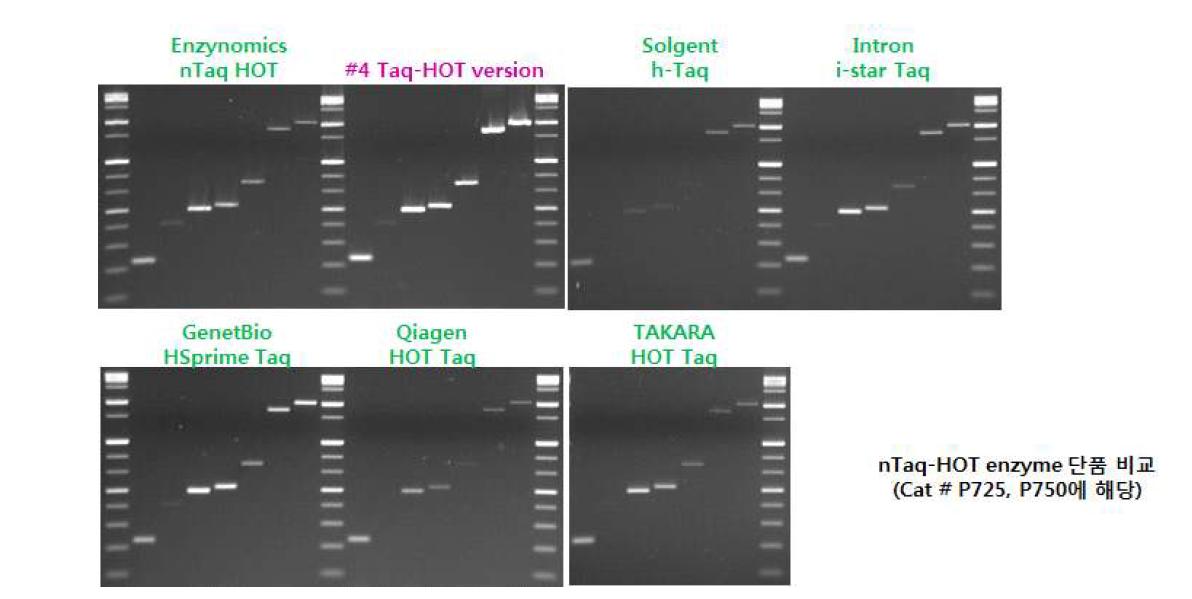 nTaq-HOT version에 대한 7종 primer set 별 성능 비교
