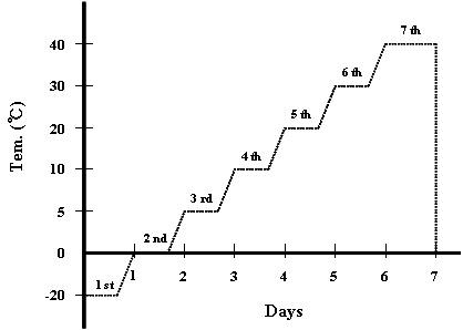 일자별(1 cycle) 온도변화 cycle.(-20, 0, 5, 10, 20, 30, 40℃)