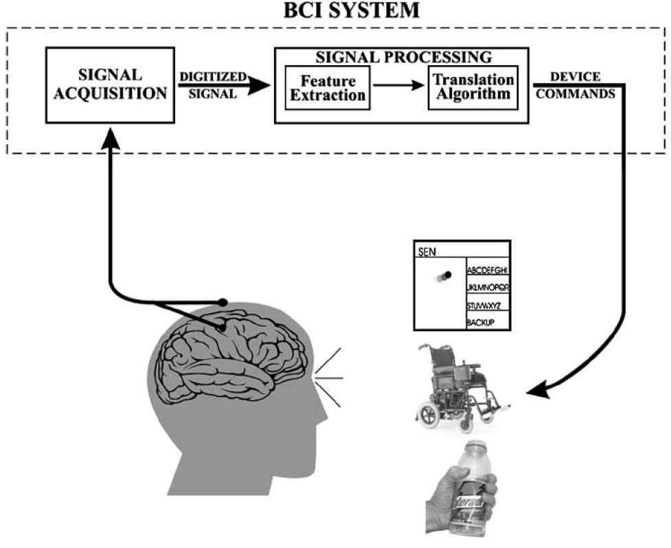 뇌파(EEG, Electroencephalogram)제어 기술 구현과정