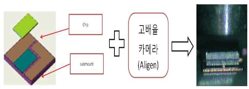 Chip Die bonding 공정 개념도