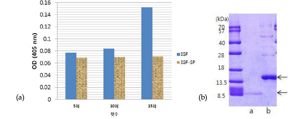 반복적인 동결/해동에 따른 자연형 IGF와 IGF-SP 단백질의 변화