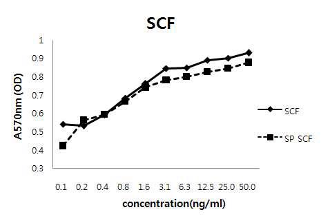 자연형 SCF와 SCF-SP 단백질의 세포활성 측정.