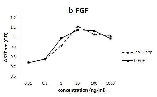 자연형 bFGf와 SP-bFGF 단백질의 세포활성 측정.