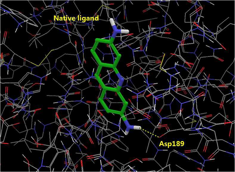 Human alpha-thrombin과 native ligand