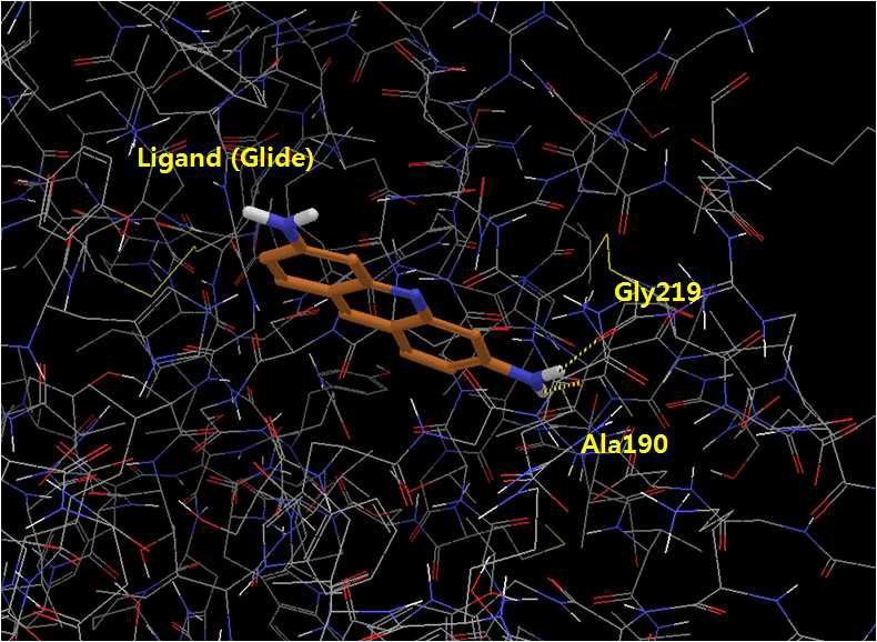 Human alpha-thrombin과 Glide docking ligand pose