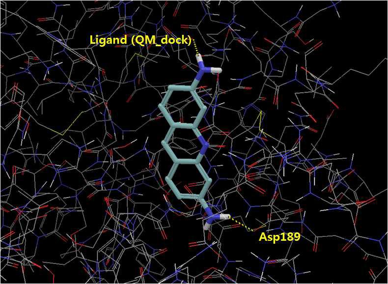 Human alpha-thrombin과 양자역학을 적용한 다킹 프로그램의 ligand pose