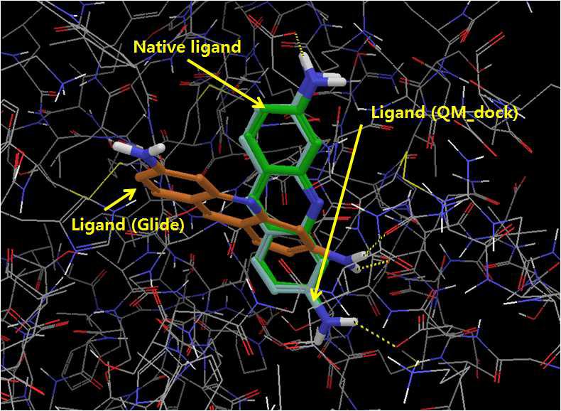 Human alpha-thrombin과 native, Glide, 양자역학 다킹의 ligand pose