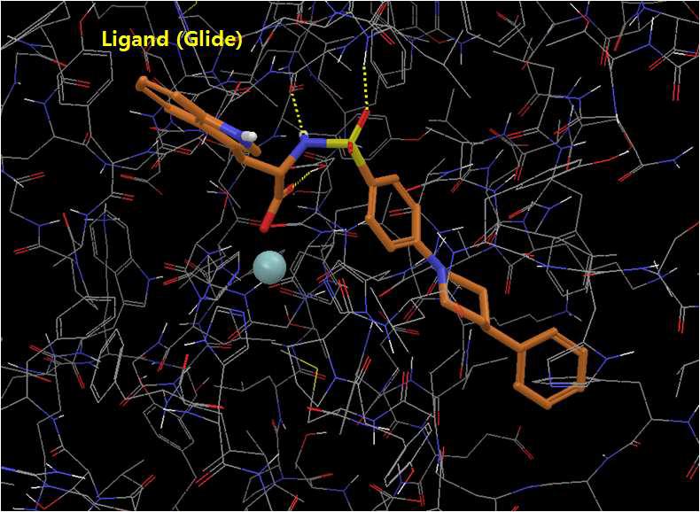 Human stromelysin과 Glide docking ligand pose