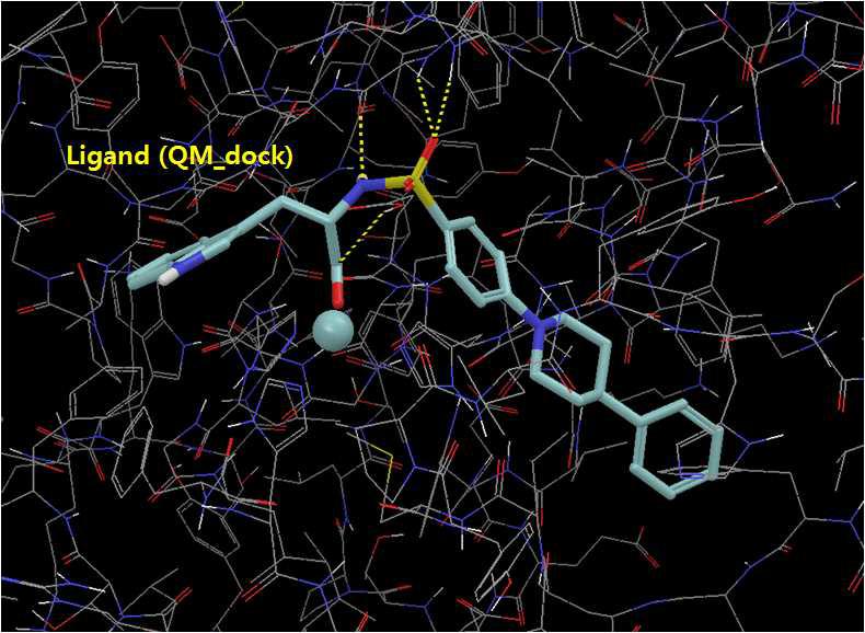 Human stromelysin과 양자역학을 적용한 다킹 프로그램의 ligand pose