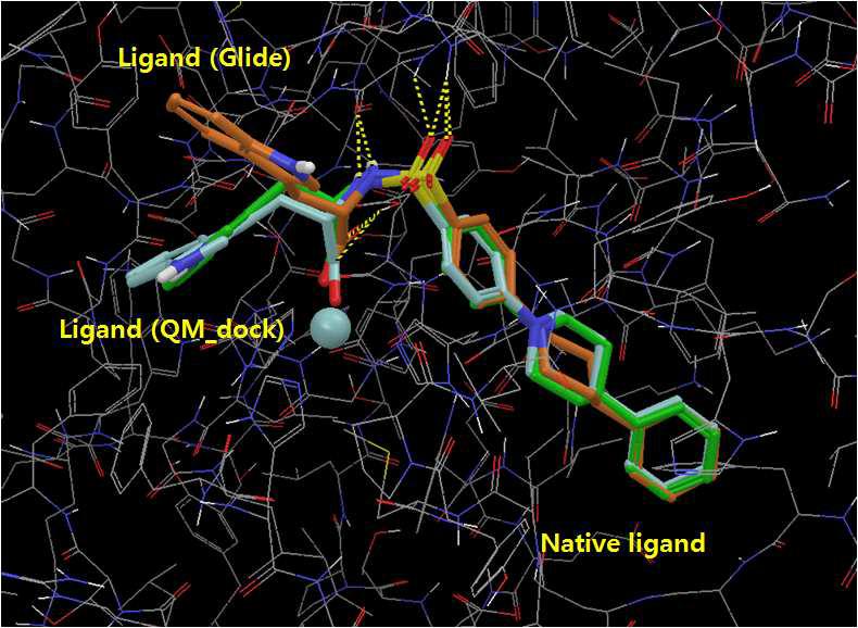 Human stromelysin과 native, Glide, 양자역학 다킹의 ligand pose