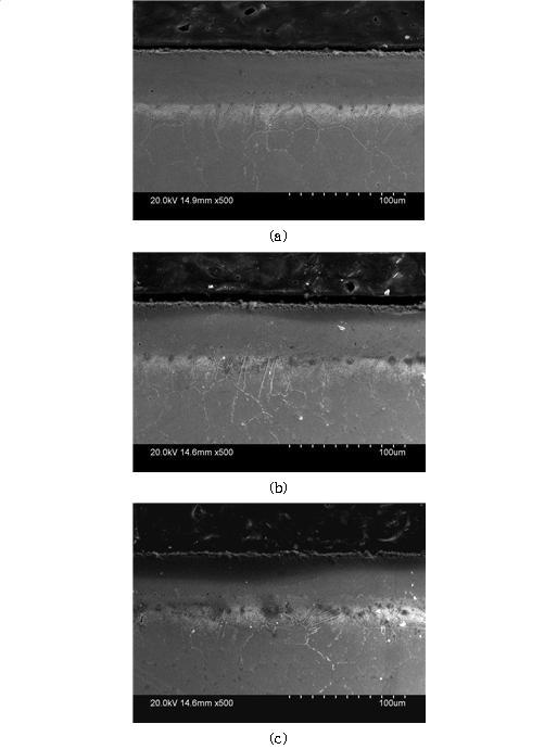 950℃, 4시간 보로나이징 처리 후 4시간 질화처리 처리된 STS 316L 시편의 단면사진