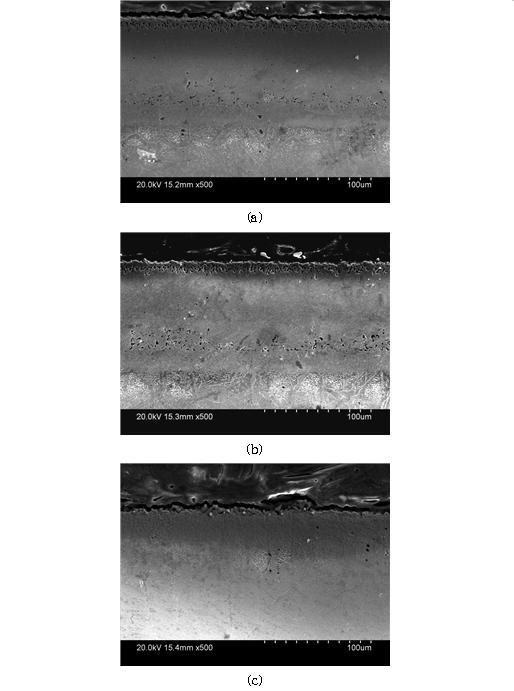 1000℃, 12시간 보로나이징 처리 후 4시간 질화처리 처리된 STS 316L 시편의 단면사진