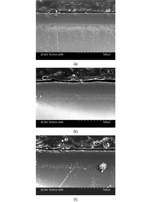 950℃, 4시간 보로나이징 처리 후 2시간 질화처리 처리된 STS 316L 시편의 단면사진