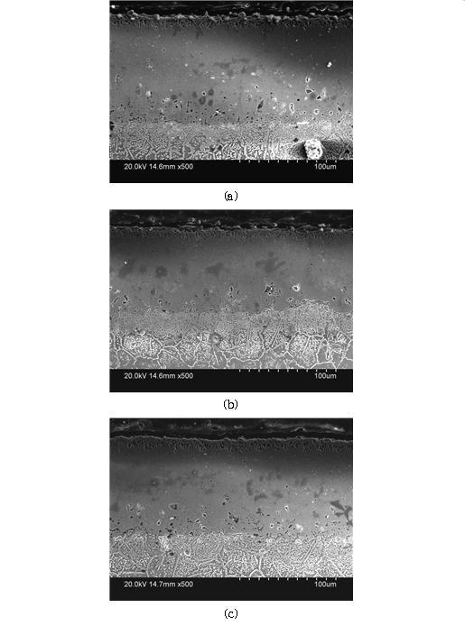 1000℃, 12시간 보로나이징 처리 후 2시간 질화처리 처리된 STS 316L 시편의 단면사진