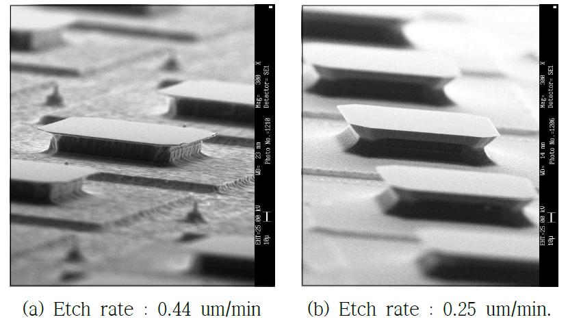 Etch rate에 따른 etching pattern의 SEM 사진