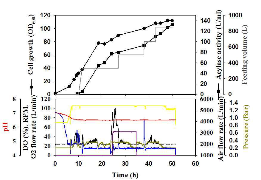 Time-course of 10 ton-scale fermentation with semi-defined medium