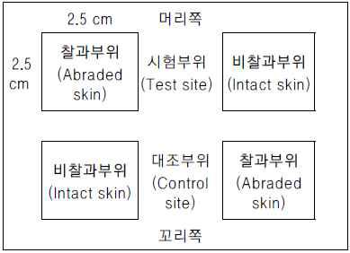 피부처치부위.