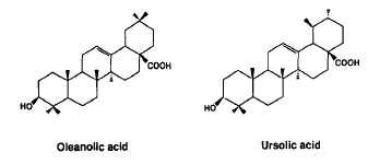 Structures of oleanolic acid and ursolic acid.