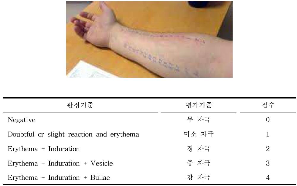 피부 안전성 평가 기준