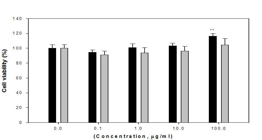 MTT assay of onion extracts