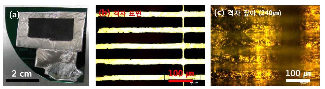 In film(500μm) seed를 형성하고 KOH로 에칭한 G0 조각 샘플 이미지