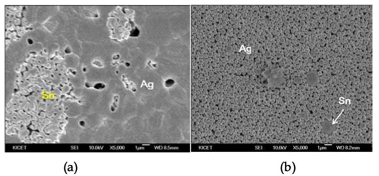 Microstructure of [Ag+10wt%Sn] pastes heat treated with (a) MW and (b) NIR at 220℃for 10min.