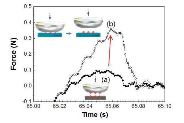 Ink cohesion curves (a) during ink off from cliché by PDMS and (b) during ink set on substrate immediately after ink off