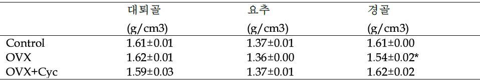 골밀도 분석 결과의 수치화