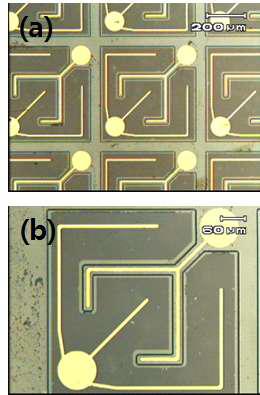 Plasma damage free 조건이 적용된 LED chip의 광학이미지 (a) 저배율 이미지 (b) 고배율 이미지