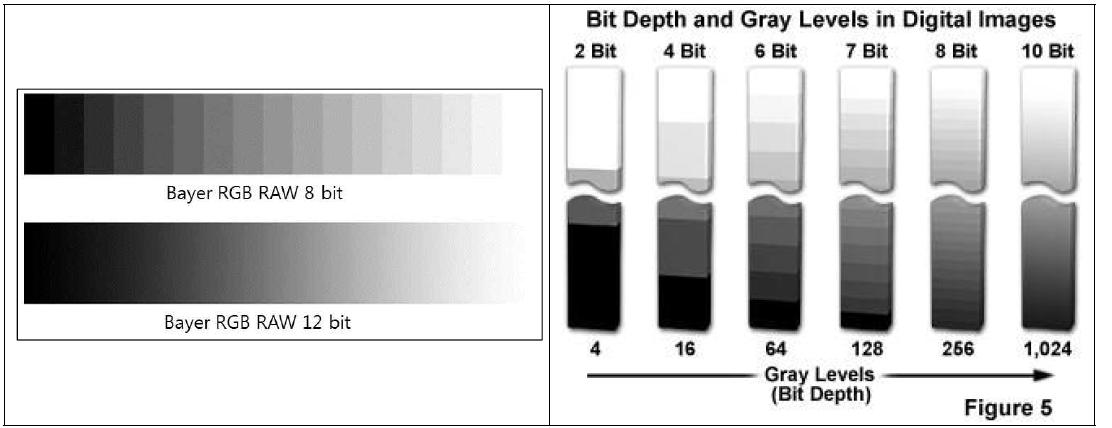 RAW 8 bit, RAW 12 bit 영상 품질 비교