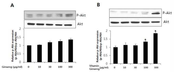 The effect of ginseng and vitamin ginseng on Akt activation in human umbilical vein endothelial cells (HUVECs).