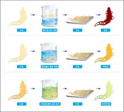 인삼류 제조공정 비교