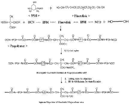 Fluoro Polyurethane-urea 반응 모식도