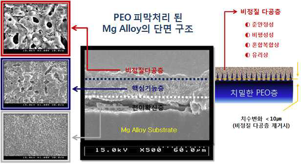 마그네슘 합금의 PEO 피막 처리된 Mg Alloy 단면구조