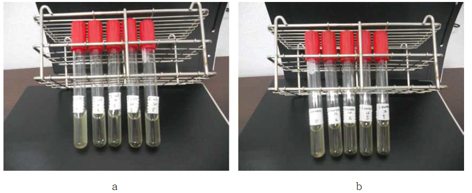 자체 개발한 멸균제를 분사했을 때 멸균의 결과: a. E. coli, b. S. aureus